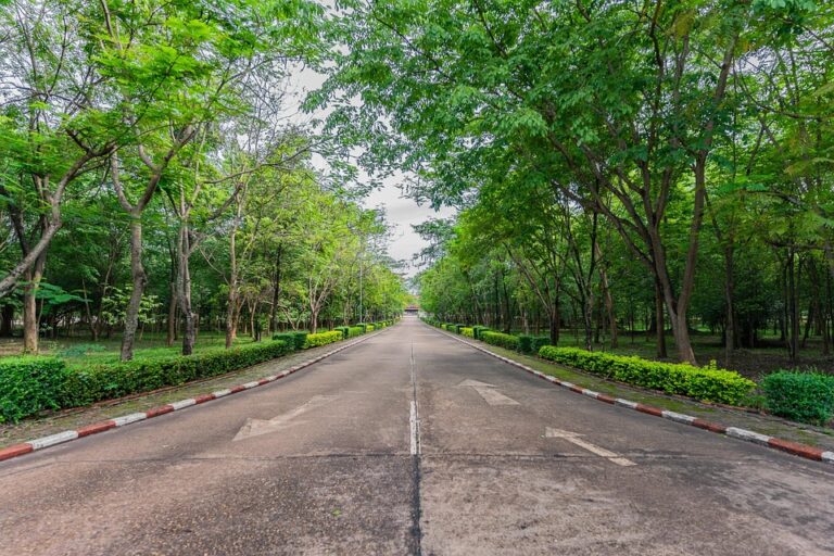 Selain memiliki sejarah yang panjang, UTM juga memiliki fakta menarik lainnya. Salah satunya adalah keberhasilan UTM dalam mengembangkan program studi yang relevan dengan kebutuhan pasar kerja, seperti Teknik Informatika, Teknik Elektro, dan Teknik Sipil. Selain itu, UTM juga memiliki berbagai fasilitas pendukung yang memadai, seperti laboratorium komputer, perpustakaan, dan pusat kegiatan mahasiswa.