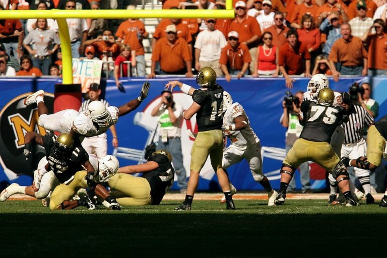 Kiprah Alumni Universitas Diponegoro Semarang di Dunia Kerja